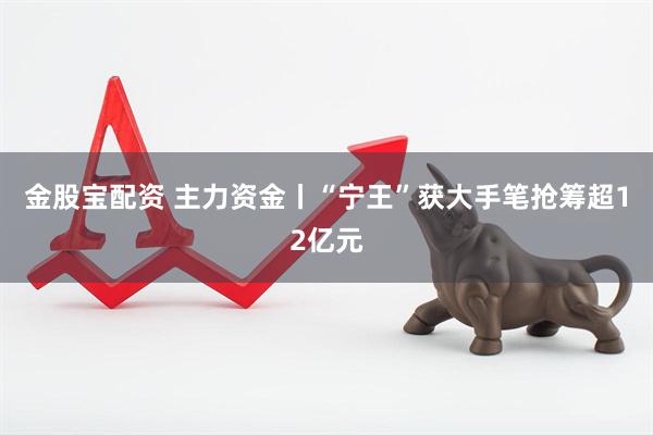 金股宝配资 主力资金丨“宁王”获大手笔抢筹超12亿元