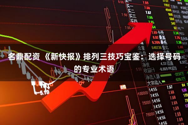 名鼎配资 《新快报》排列三技巧宝鉴：选择号码的专业术语